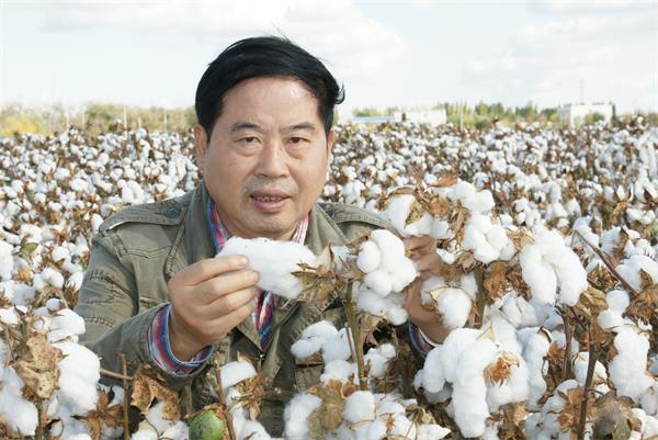 喻树迅在考察棉田