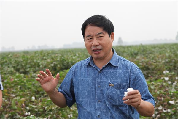 喻树迅在介绍棉花材料