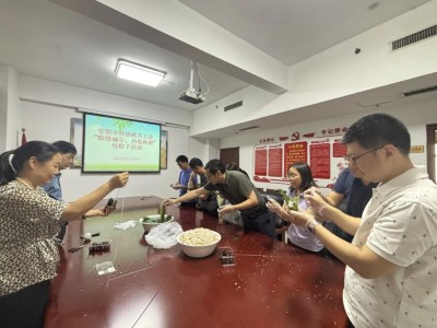 安阳市科协机关工会开展“粽情端午 共筑和谐”主题包粽子活动